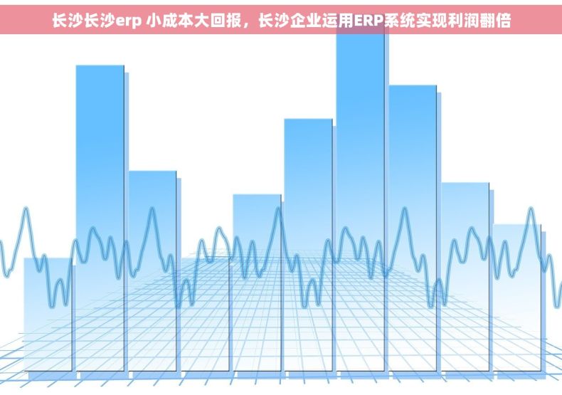 长沙长沙erp 小成本大回报，长沙企业运用ERP系统实现利润翻倍