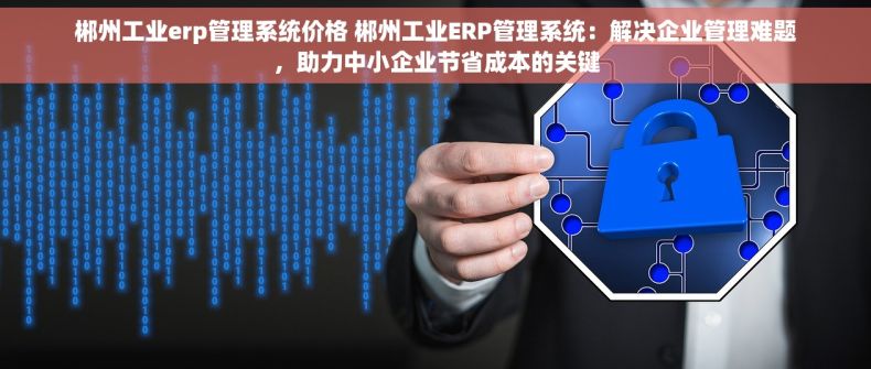 郴州工业erp管理系统价格 郴州工业ERP管理系统：解决企业管理难题，助力中小企业节省成本的关键