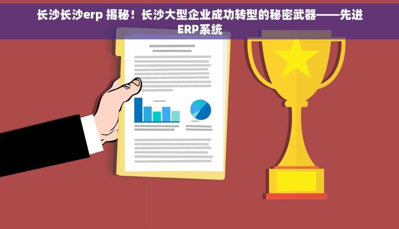 长沙长沙erp 揭秘！长沙大型企业成功转型的秘密武器——先进ERP系统