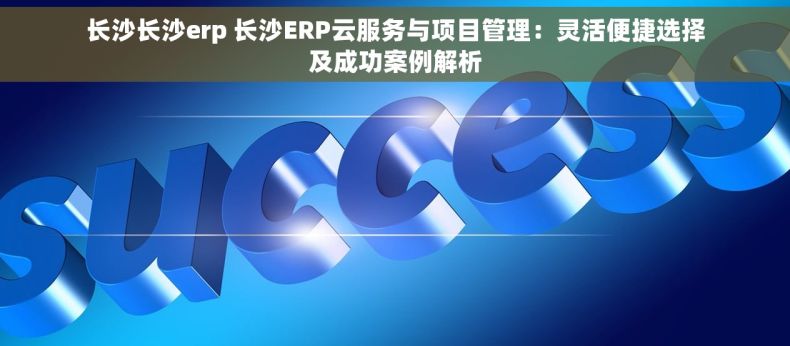 长沙长沙erp 长沙ERP云服务与项目管理：灵活便捷选择及成功案例解析