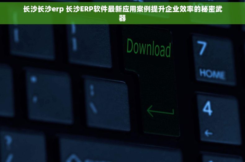 长沙长沙erp 长沙ERP软件最新应用案例提升企业效率的秘密武器