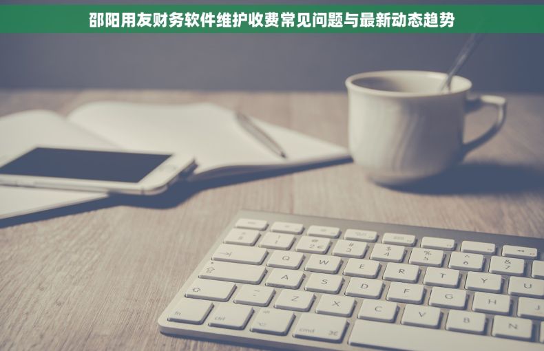 邵阳用友财务软件维护收费常见问题与最新动态趋势