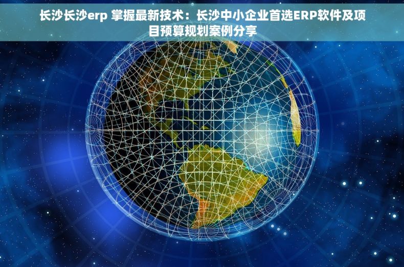 长沙长沙erp 掌握最新技术：长沙中小企业首选ERP软件及项目预算规划案例分享