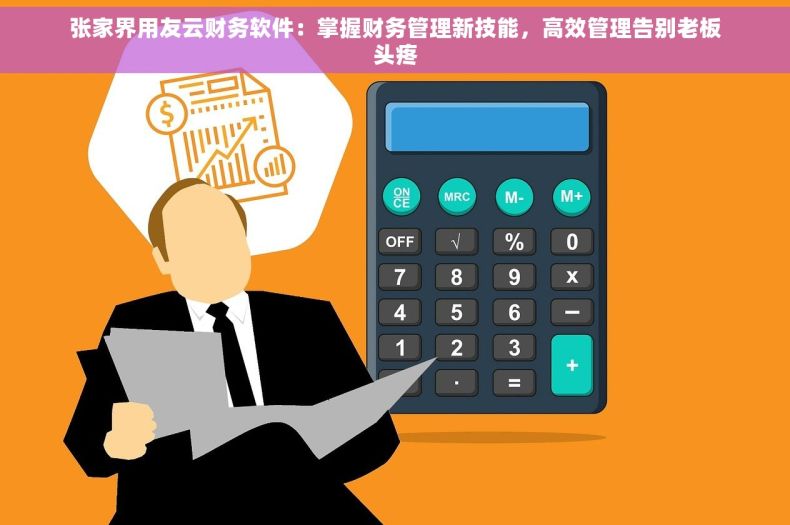 张家界用友云财务软件：掌握财务管理新技能，高效管理告别老板头疼