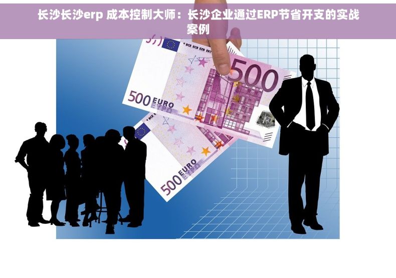 长沙长沙erp 成本控制大师：长沙企业通过ERP节省开支的实战案例