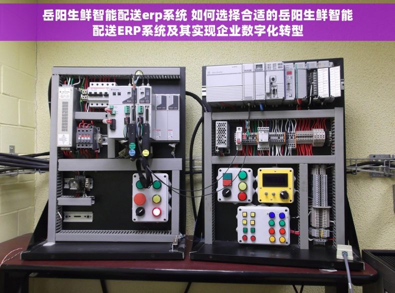 岳阳生鲜智能配送erp系统 如何选择合适的岳阳生鲜智能配送ERP系统及其实现企业数字化转型