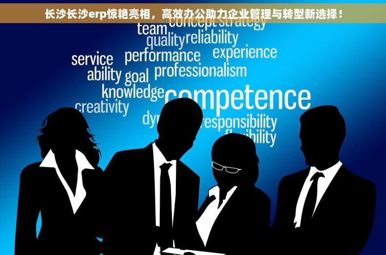长沙长沙erp惊艳亮相，高效办公助力企业管理与转型新选择！