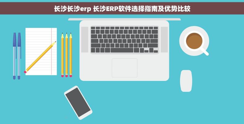 长沙长沙erp 长沙ERP软件选择指南及优势比较