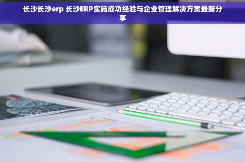 长沙长沙erp 长沙ERP实施成功经验与企业管理解决方案最新分享