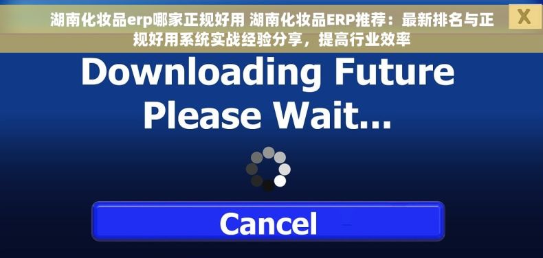 湖南化妆品erp哪家正规好用 湖南化妆品ERP推荐：最新排名与正规好用系统实战经验分享，提高行业效率
