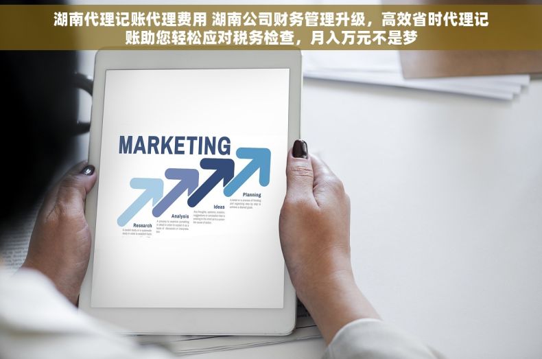 湖南代理记账代理费用 湖南公司财务管理升级，高效省时代理记账助您轻松应对税务检查，月入万元不是梦