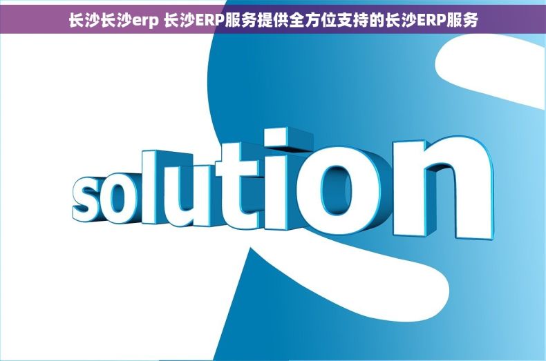 长沙长沙erp 长沙ERP服务提供全方位支持的长沙ERP服务