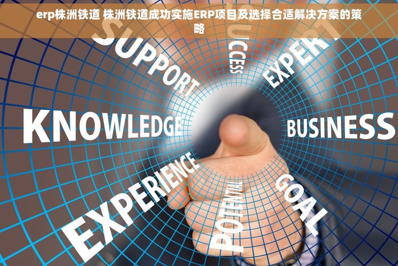 erp株洲铁道 株洲铁道成功实施ERP项目及选择合适解决方案的策略
