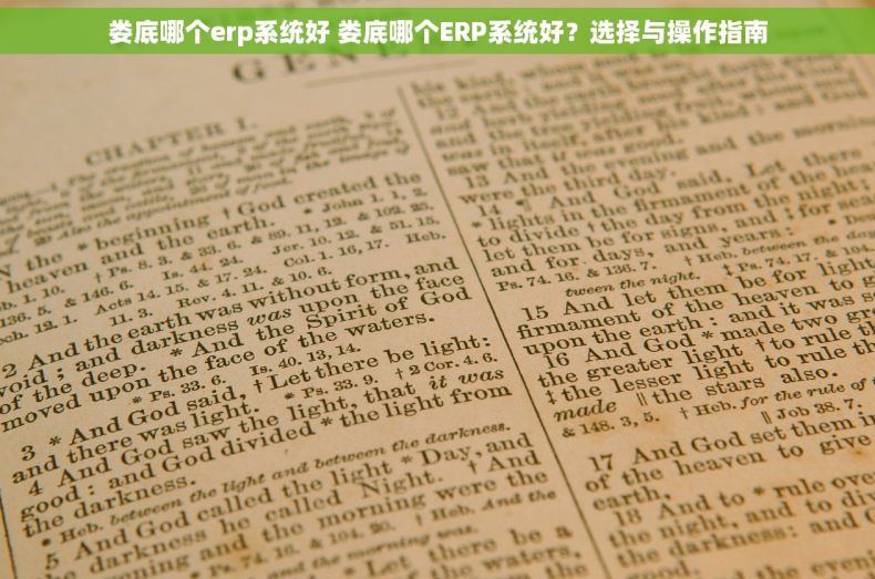 娄底哪个erp系统好 娄底哪个ERP系统好？选择与操作指南