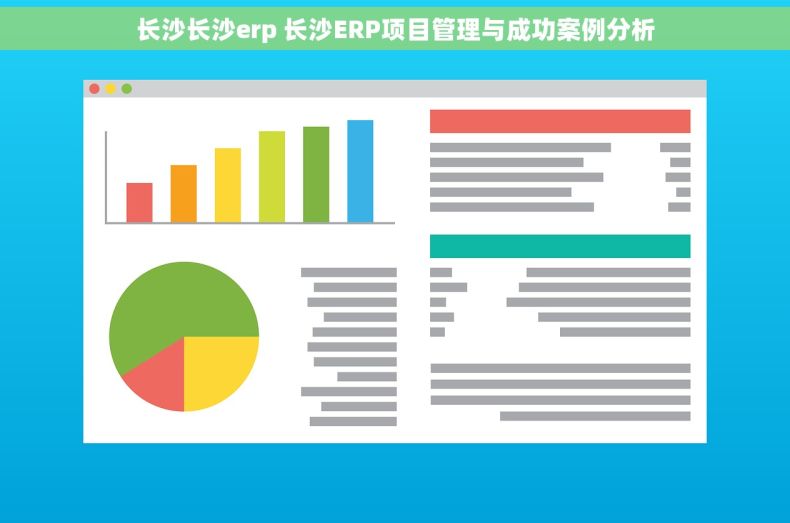 长沙长沙erp 长沙ERP项目管理与成功案例分析