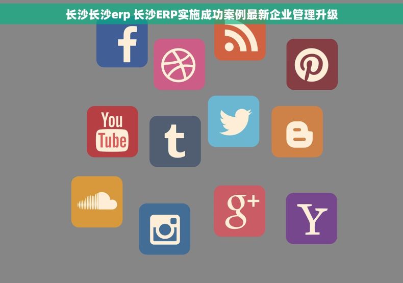 长沙长沙erp 长沙ERP实施成功案例最新企业管理升级