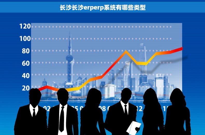 长沙长沙erperp系统有哪些类型