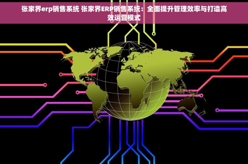 张家界erp销售系统 张家界ERP销售系统：全面提升管理效率与打造高效运营模式