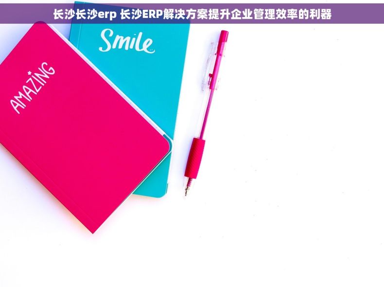 长沙长沙erp 长沙ERP解决方案提升企业管理效率的利器
