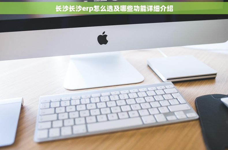 长沙长沙erp怎么选及哪些功能详细介绍