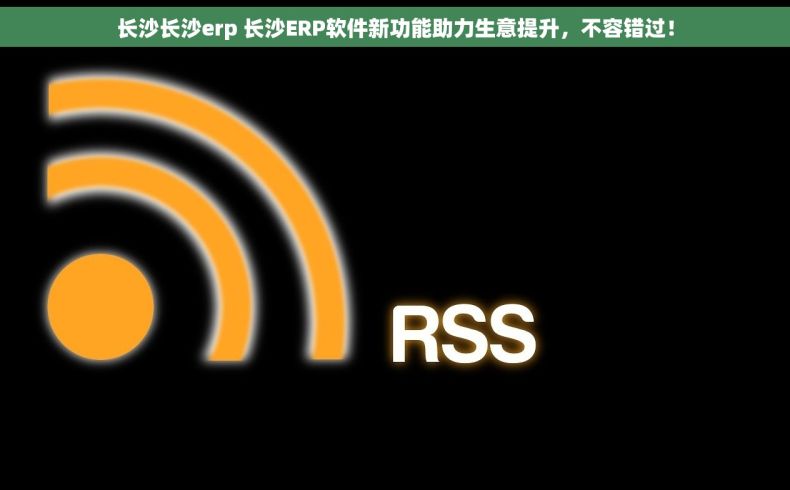 长沙长沙erp 长沙ERP软件新功能助力生意提升，不容错过！