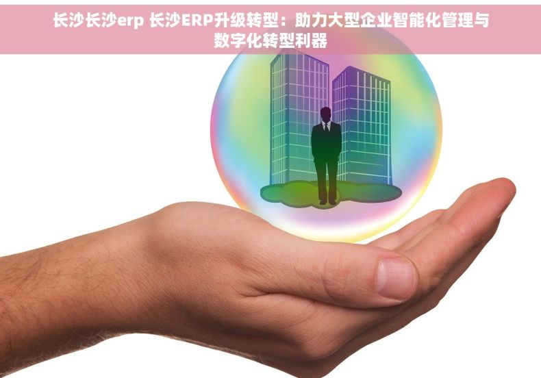 长沙长沙erp 长沙ERP升级转型：助力大型企业智能化管理与数字化转型利器