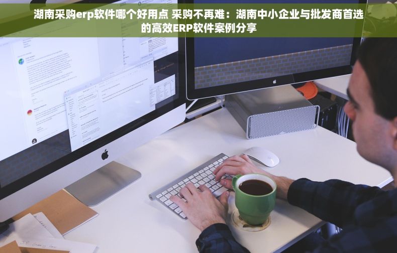 湖南采购erp软件哪个好用点 采购不再难：湖南中小企业与批发商首选的高效ERP软件案例分享