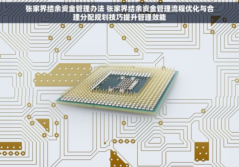 张家界结余资金管理办法 张家界结余资金管理流程优化与合理分配规划技巧提升管理效能