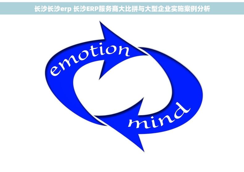 长沙长沙erp 长沙ERP服务商大比拼与大型企业实施案例分析