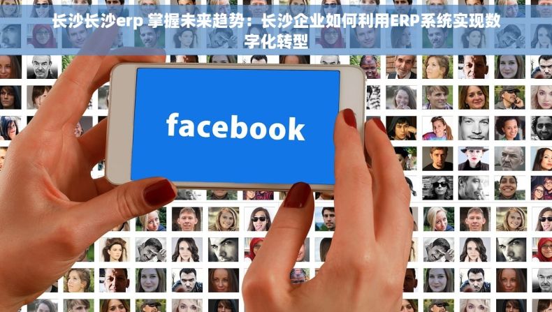 长沙长沙erp 掌握未来趋势：长沙企业如何利用ERP系统实现数字化转型