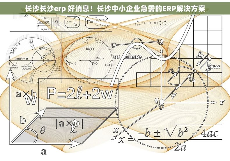 长沙长沙erp 好消息！长沙中小企业急需的ERP解决方案