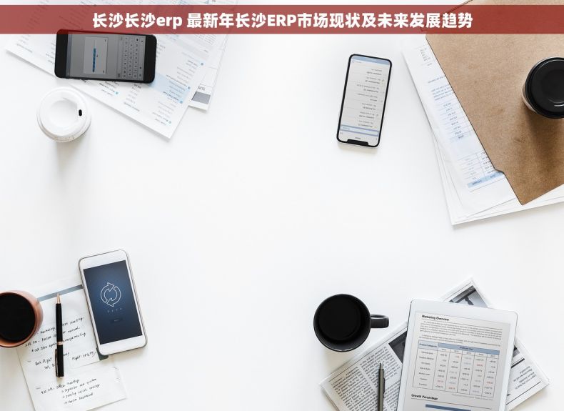 长沙长沙erp 最新年长沙ERP市场现状及未来发展趋势