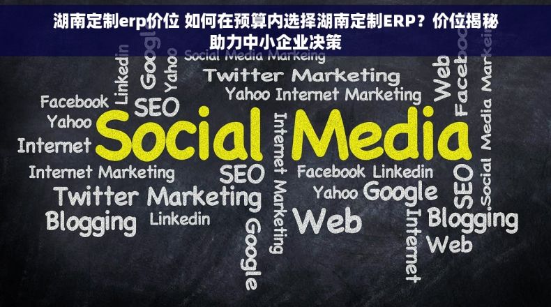 湖南定制erp价位 如何在预算内选择湖南定制ERP？价位揭秘助力中小企业决策