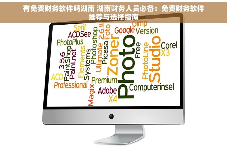 有免费财务软件吗湖南 湖南财务人员必备：免费财务软件推荐与选择指南