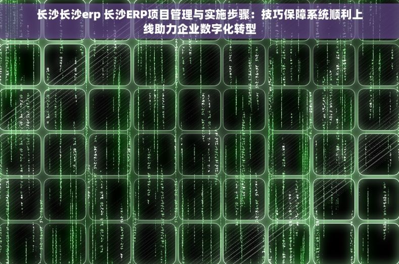 长沙长沙erp 长沙ERP项目管理与实施步骤：技巧保障系统顺利上线助力企业数字化转型