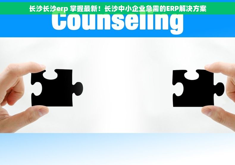 长沙长沙erp 掌握最新！长沙中小企业急需的ERP解决方案