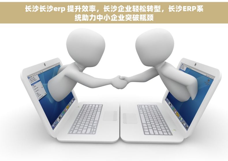 长沙长沙erp 提升效率，长沙企业轻松转型，长沙ERP系统助力中小企业突破瓶颈
