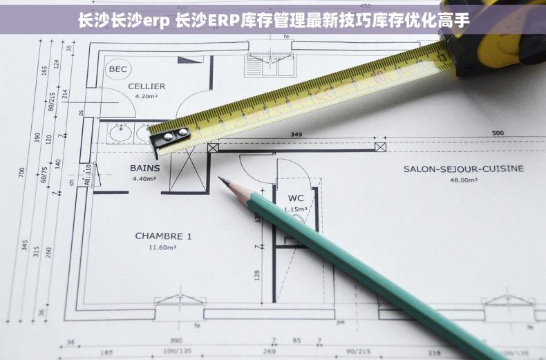 长沙长沙erp 长沙ERP库存管理最新技巧库存优化高手