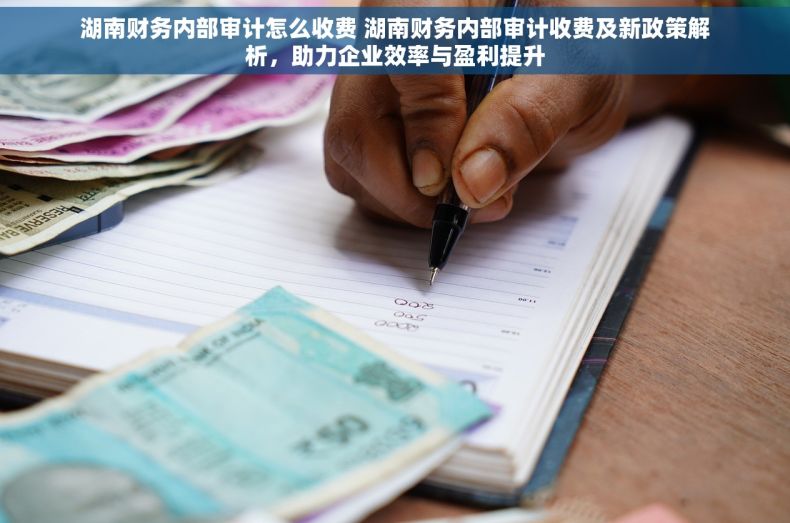 湖南财务内部审计怎么收费 湖南财务内部审计收费及新政策解析，助力企业效率与盈利提升