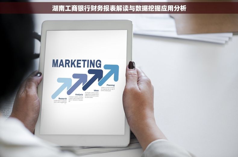 湖南工商银行财务报表解读与数据挖掘应用分析
