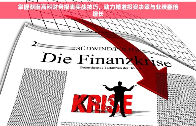 掌握湖南高科财务报表实战技巧，助力精准投资决策与业绩翻倍增长