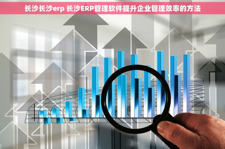 长沙长沙erp 长沙ERP管理软件提升企业管理效率的方法