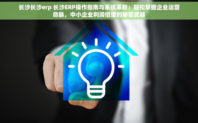 长沙长沙erp 长沙ERP操作指南与系统革新：轻松掌握企业运营命脉，中小企业利润倍增的秘密武器