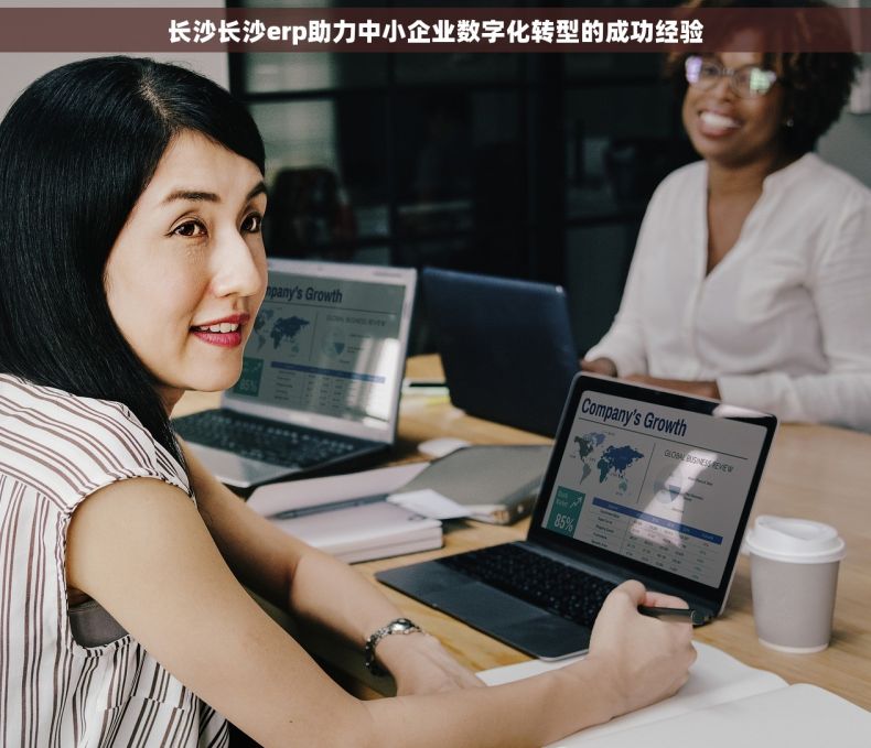 长沙长沙erp助力中小企业数字化转型的成功经验