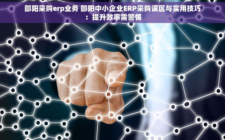 邵阳采购erp业务 邵阳中小企业ERP采购误区与实用技巧：提升效率需警惕