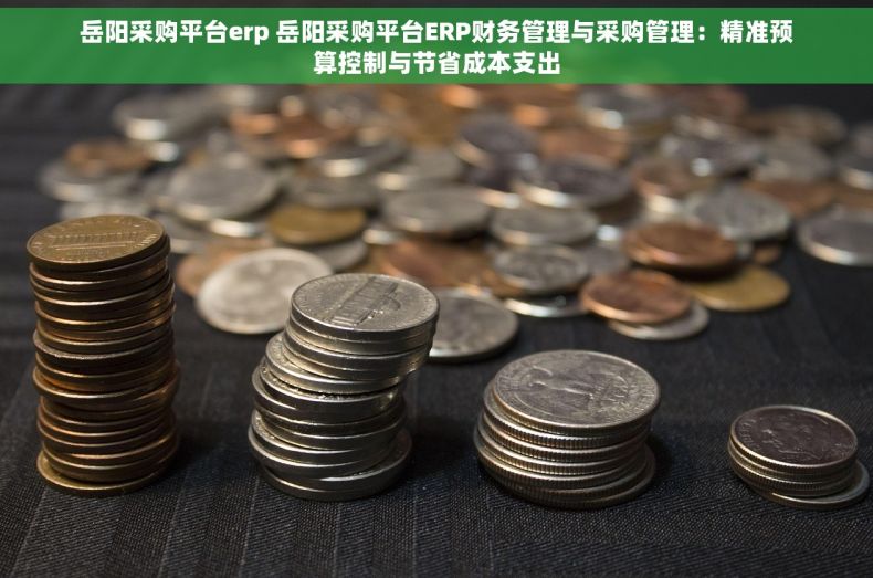 岳阳采购平台erp 岳阳采购平台ERP财务管理与采购管理：精准预算控制与节省成本支出