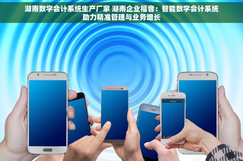 湖南数字会计系统生产厂家 湖南企业福音：智能数字会计系统助力精准管理与业务增长