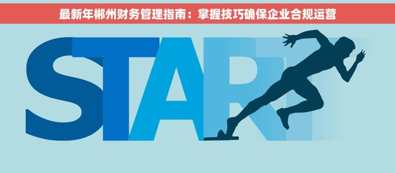 最新年郴州财务管理指南：掌握技巧确保企业合规运营