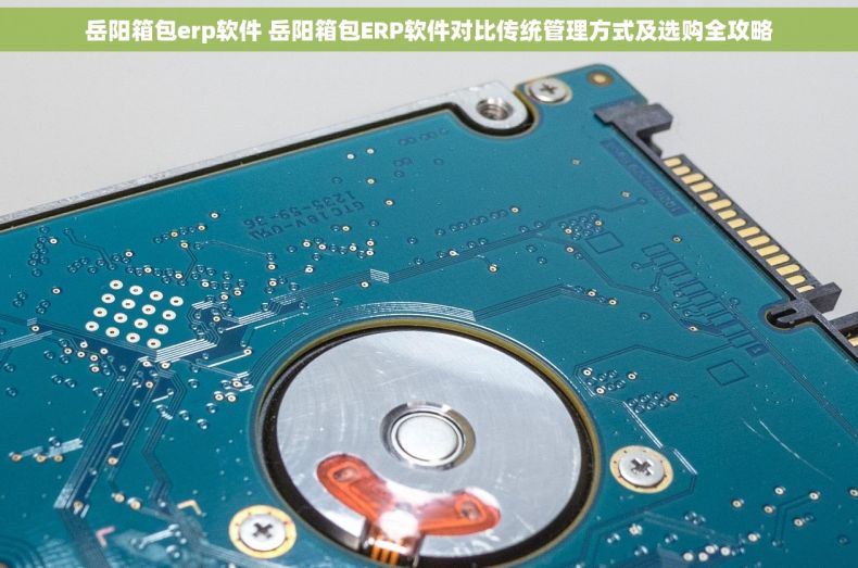 岳阳箱包erp软件 岳阳箱包ERP软件对比传统管理方式及选购全攻略