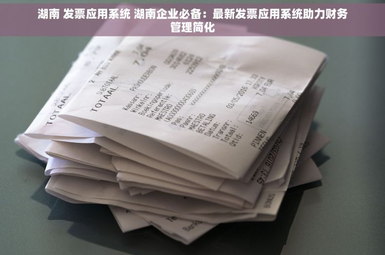 湖南 发票应用系统 湖南企业必备：最新发票应用系统助力财务管理简化